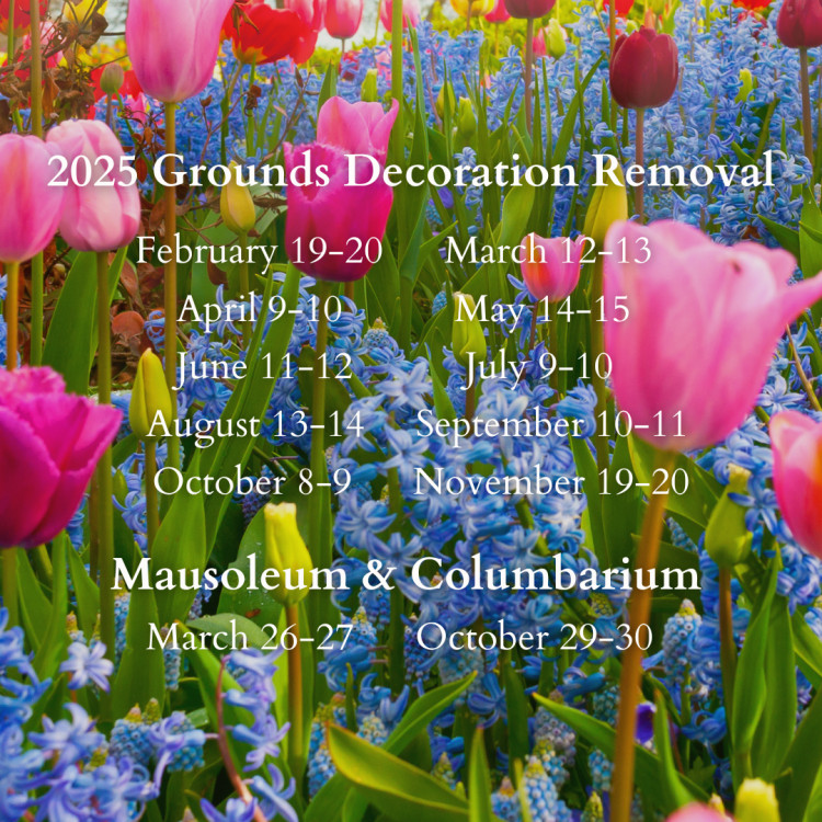 Removal 2025